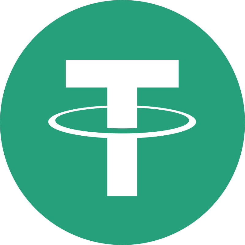 USDT light Logo